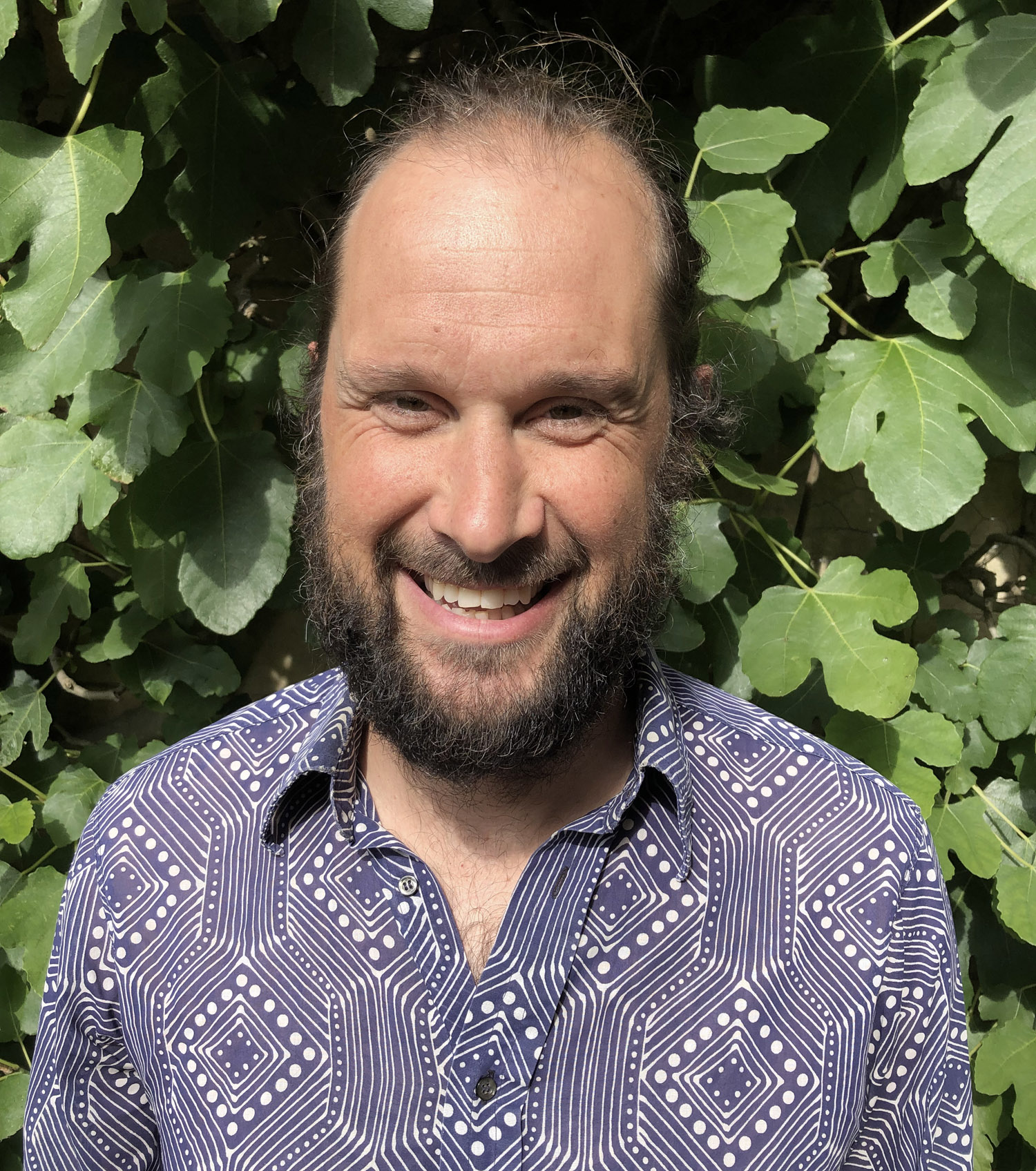 will roberts,  psychotherapist